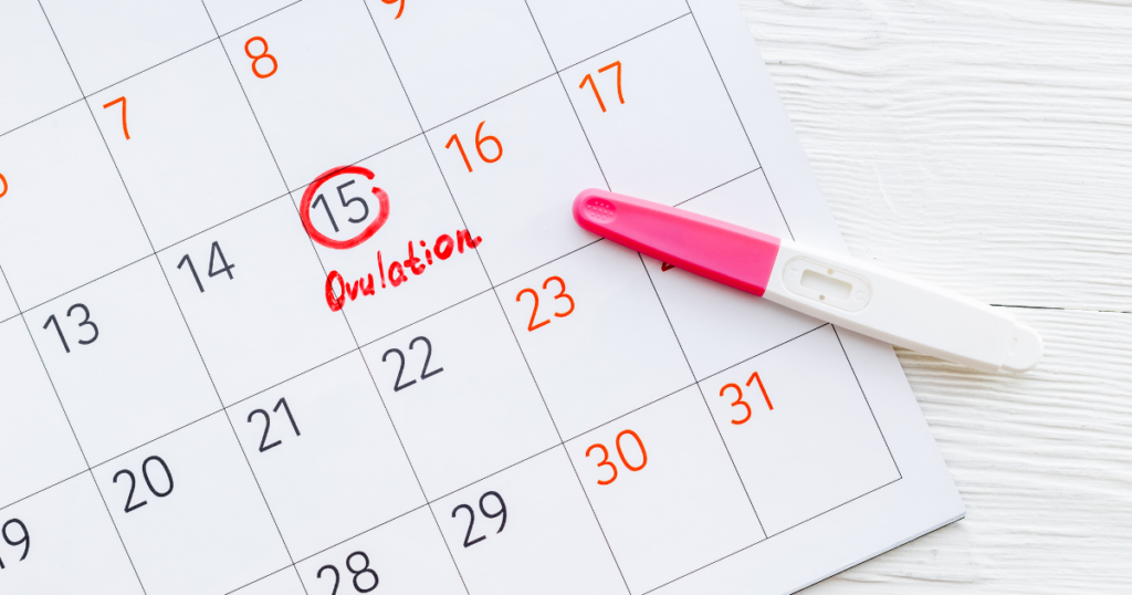 Calendar showing day of ovulation.