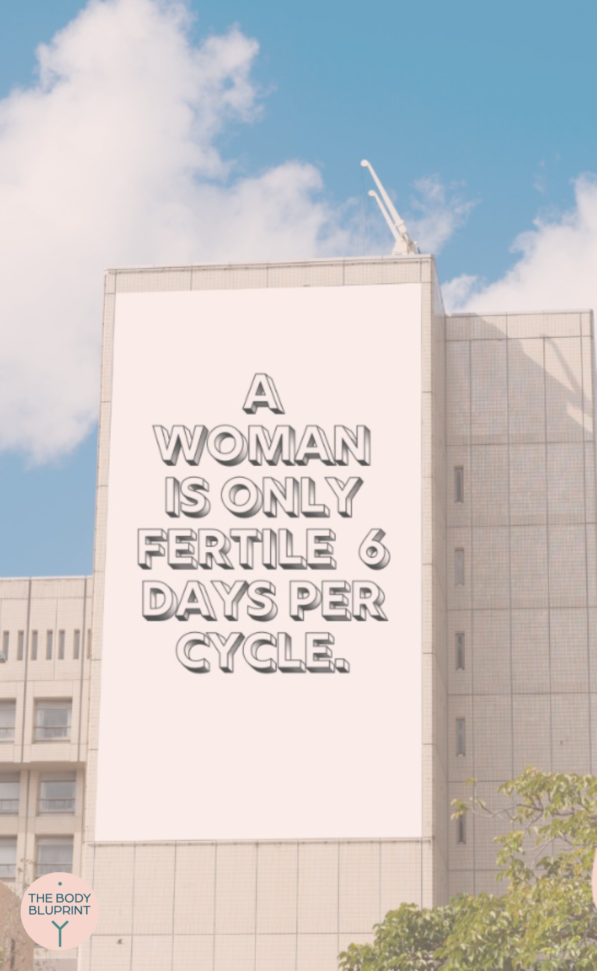 A billboard with the words on it" A woman is only fertile 6 days if her cycle"